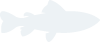 金年会公司
