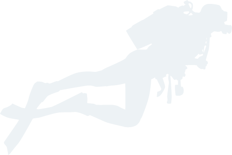 金年会公司