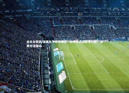 金年会官网-波黑队不敌法国队，欧预赛战绩蒙受打击，波黑对法国ds