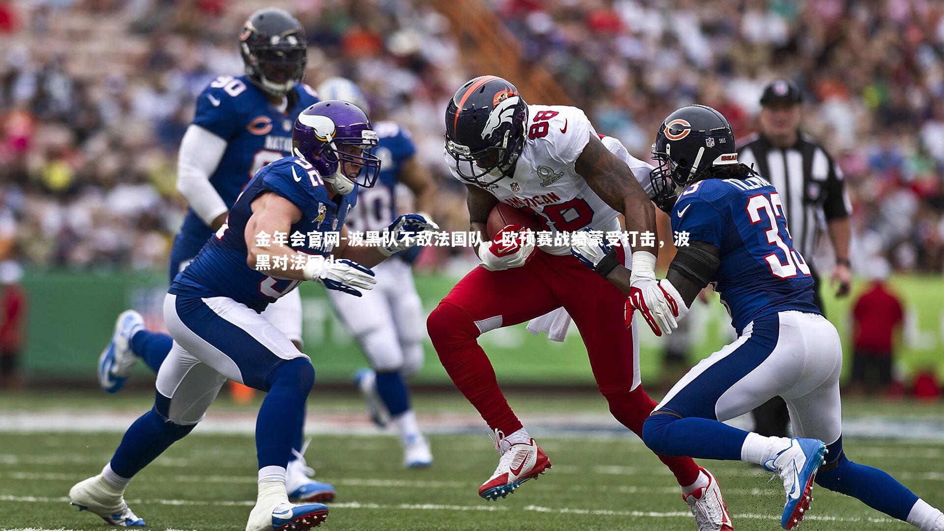 波黑队不敌法国队,欧预赛战绩蒙受打击,波黑对法国ds