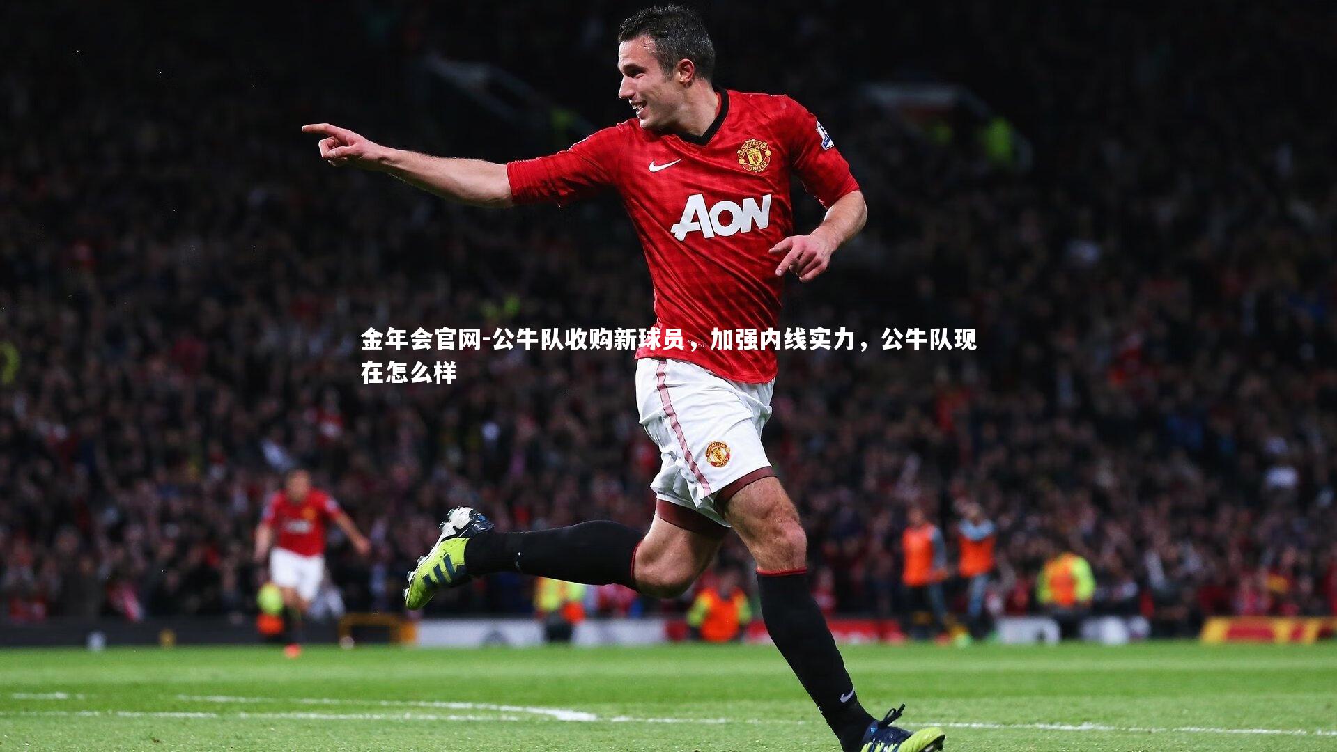 公牛队收购新球员,加强内线实力,公牛队现在怎么样