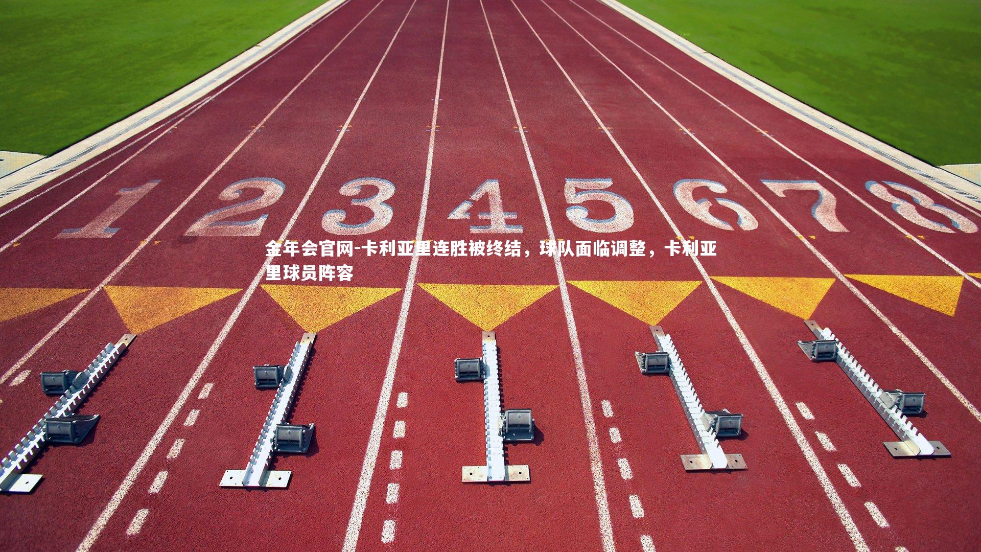 卡利亚里连胜被终结，球队面临调整，卡利亚里球员阵容