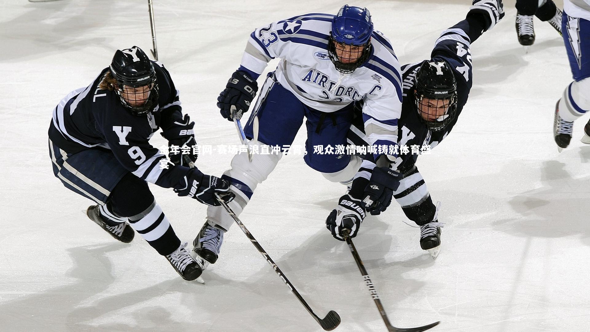 赛场声浪直冲云霄，观众激情呐喊铸就体育盛宴